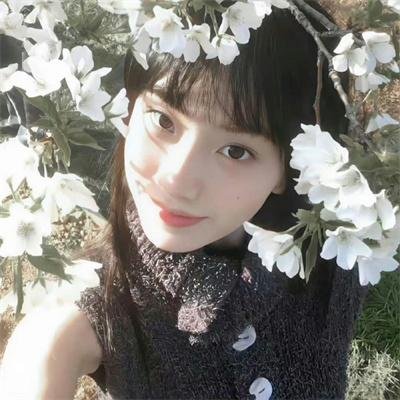 我爱夏莉：疯狂圣诞